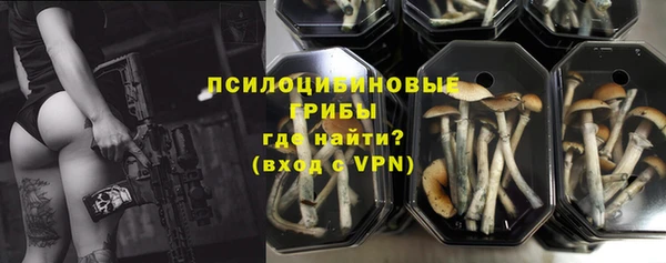 тгк Козловка