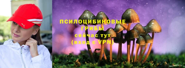 2c-b Козельск