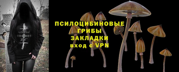 2c-b Козельск