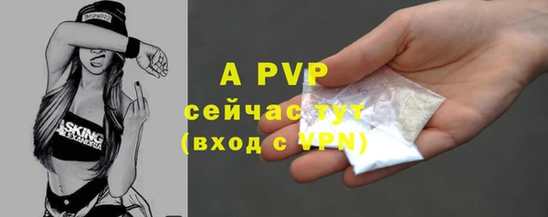 apvp Кодинск