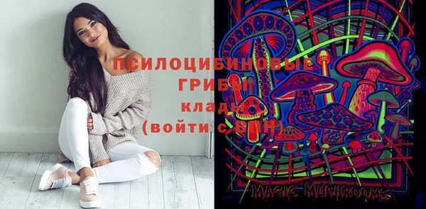 тгк Козловка