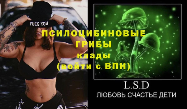 тгк Козловка