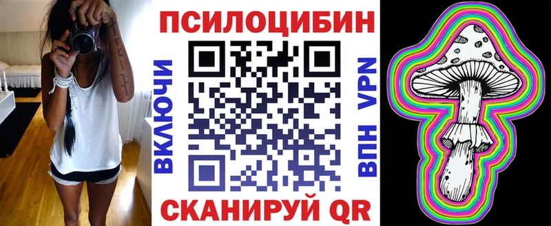 Псилоцибиновые грибы Psilocybe  Купить закладки  Кузнецк 
